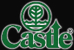 Castle